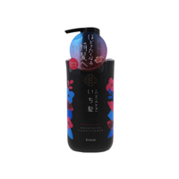 Kracie Ichikami Smooth Care Conditioner, 16.93 oz